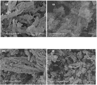 Original Method to Predict and Monitor Carbon Deposition on Ni-Based Catalysts During Dry Reforming of Methane